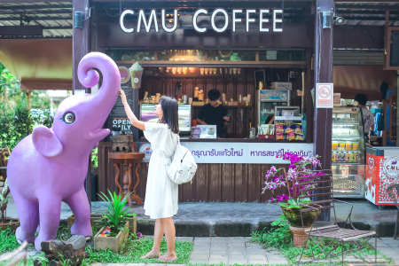 <泰国清迈4晚5日游>全程4星酒店，A线亲子，夏日水上乐园/夜间动物园，喂大象小象洗澡，1天自由活动，B线清迈清莱，黑白蓝庙，嘟嘟车游古城