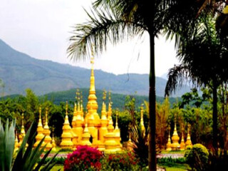 到西双版纳旅游团多少钱_旅行团旅游西双版纳_西双版纳旅游六日游报价