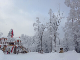 亞布力雪鄉(xiāng)旅游報(bào)團(tuán)價(jià)格_亞布力雪鄉(xiāng)游特價(jià)團(tuán)_去亞布力雪鄉(xiāng)靠譜的旅行團(tuán)