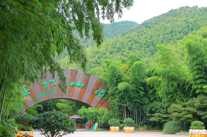 南山竹海通常一张成年人的门票价是90块钱,在每天早晨8点半园区对外