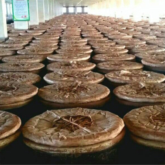 购物模块 