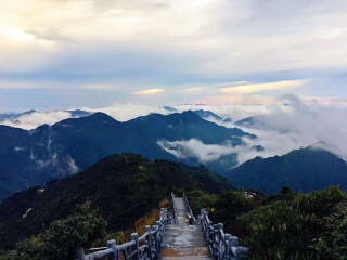 現(xiàn)在去莽山郴州旅游多少錢(qián)_現(xiàn)在到莽山郴州旅游多少錢(qián)_去莽山郴州游要多少錢(qián)
