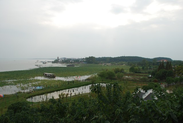 梁子湖区有多少人口_民革鄂州市委会第一支部赴梁子湖区港口桥调研(3)