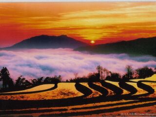 深圳昆明旅游包团价格_出发昆明旅游线路_昆明8天游