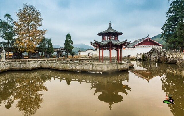 浦源村,位于寧德周寧縣,成于南宋,乃周寧富裕之風水寶地。該村揚名于鯉魚溪,何也?乃因鄭氏欲遠離禍害,舉家南遷,見此地山清水秀,始作屯安。放紅鯉于溪水以避人投毒之舉,尊靈魚于廟堂以感其舍身之愛。至此以往,魚生無戕害煮烹之憂,魚亡享恭祭敬葬之待。 嗚呼哀哉!魚生則于溪水間歡愉暢游,村民以光餅喂之,以良善護之,皆盡享天年;魚亡僅有二因,其一曰病亡,其二曰老亡。 自南宋以來而至今,凡亡魚村民皆供之以莊重葬儀,彰宣祭文而后葬之于冢,謂之魚冢、魚葬、魚祭文!此等風俗,古今中外,未曾尋得同似,獨步天下,不屬而殊