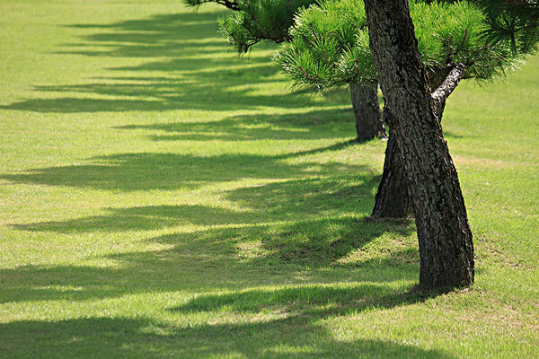 从陆家嘴到热带风暴多远_从陆家嘴到热带风暴