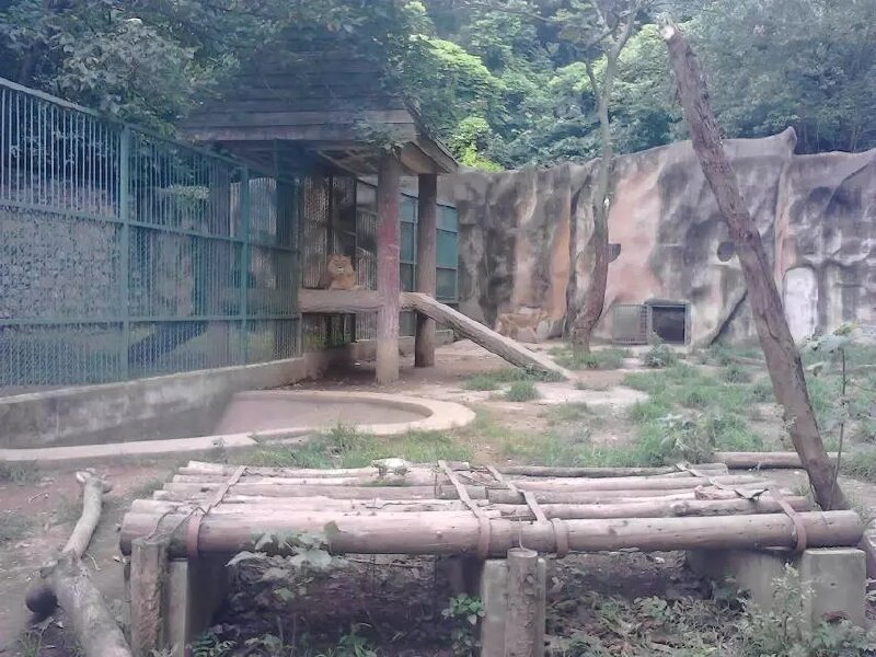 南京红山森林动物园一日游_科普游记_途牛