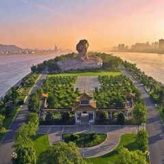 活动模块 