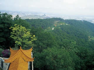廣西南寧旅游跟團(tuán)需多少錢_近期廣西南寧游價格_廣西南寧旅游多少錢