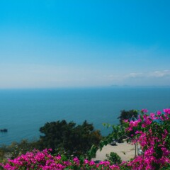 山茶半岛的#旅图换旅费# #旅拍#