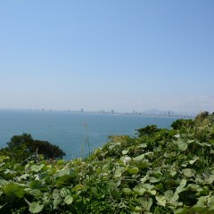 山茶半岛的#旅图换旅费# #旅拍#