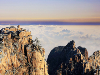 黃山旅游團(tuán)_去黃山游怎么省錢_到黃山旅游多少錢