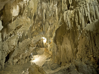 去廣西北海報(bào)團(tuán)多少錢_廣西北海旅行跟團(tuán)_廣西北海自由行組團(tuán)