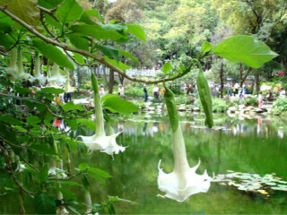 香格里拉特价旅游团报价_香格里拉旅游包团价格_去香格里拉旅游团报价
