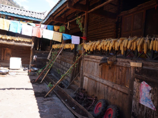 8月云南瀘沽湖旅游_云南瀘沽湖九月旅游_云南瀘沽湖自由行旅游團(tuán)