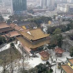 宝通禅寺的#旅图换旅费#