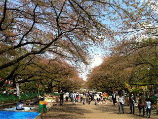 日本旅游報(bào)團(tuán)價(jià)格_日本旅游報(bào)價(jià)_東莞到日本游