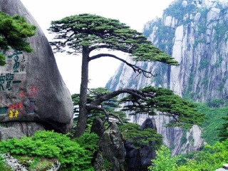 10月黃山旅游_深圳特價黃山游_黃山旅游多少錢一個人