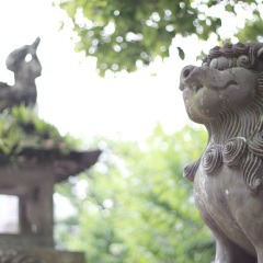 景点模块 