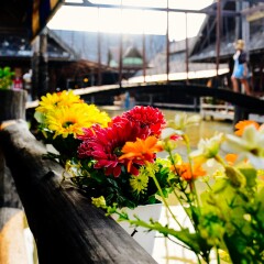 芭提雅四方水上市场的#旅图换旅费# #旅拍#