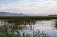 泛舟溱湖湿地国家公园