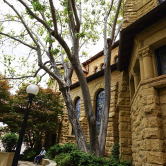 斯坦福大学的#旅图换旅费# #旅拍# #建筑#