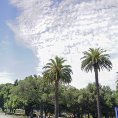 斯坦福大学的#旅图换旅费# #旅拍# #建筑#