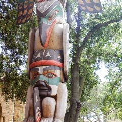 斯坦福大学的#旅图换旅费# #旅拍# #建筑#