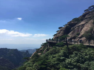 婺源旅行哪家好_婺源8天游_最近去婺源旅行