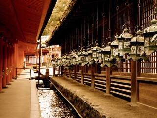 幾月去日本旅游最便宜_報(bào)團(tuán)去日本多少錢_春節(jié)日本旅游價(jià)格