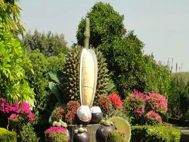 4合1特色景区解读金山角历史,马车游,骑大象,水果园园品热带水果