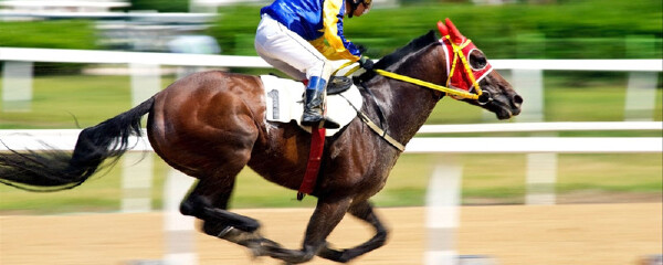 从松山到澳门赛马会要多久_从松山到澳门赛马