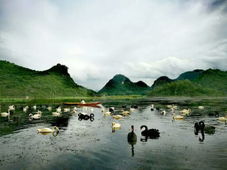 云南游跟團(tuán)_云南特價(jià)旅游團(tuán)報(bào)價(jià)_云南旅游組團(tuán)