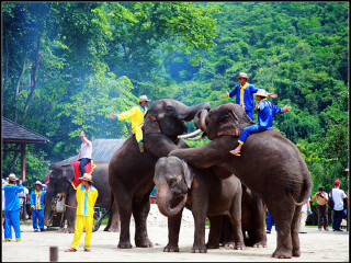 到西双版纳旅游团多少钱_旅行团旅游西双版纳_西双版纳旅游六日游报价