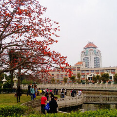 活动模块 
