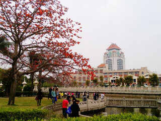 去廈門游怎么省錢_廈門八月份旅游_廈門旅游價(jià)格多少