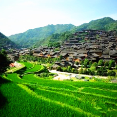 景点模块 