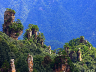 湖南張家界跟團還是自由行_湖南張家界游跟團多少錢_湖南張家界報團旅游多少錢