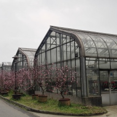 武汉植物园的#旅图换旅费#