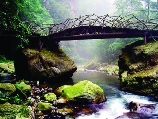 湖南張家界跟團還是自由行_湖南張家界游跟團多少錢_湖南張家界報團旅游多少錢