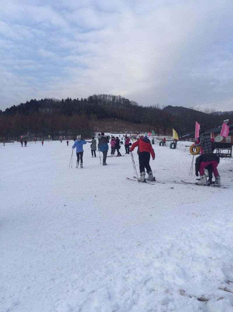 Bet365 - Online Sports Betting2026哈尔滨跟团游怎么选？十大正规旅行社名单公布！附官方电话