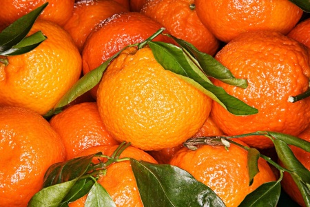 food_picture