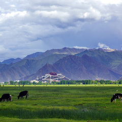 小交通模块 