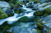 穿越绿林美人谷