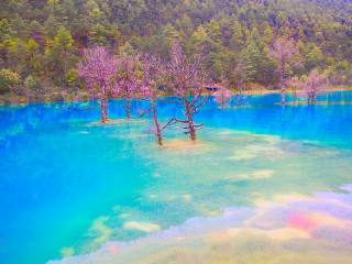 云南麗江自由行旅游團(tuán)_云南麗江自由行費(fèi)用_云南麗江游特價團(tuán)