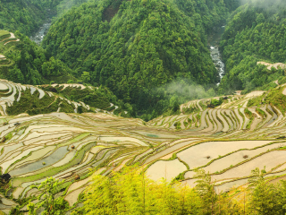 去貴州報(bào)團(tuán)多少錢(qián)_貴州九月旅游_貴州組團(tuán)旅游