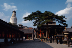 景点模块 