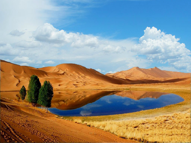 沙漠地形地貌有沙窝地,蜂窝状沙地,平沙地,波状沙丘地,鱼鳞纹沙坡地