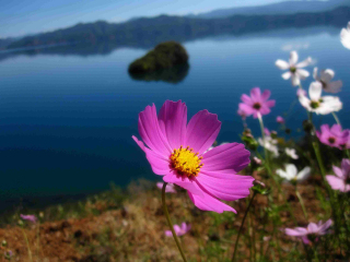 云南瀘沽湖旅行團自由行_2021年云南瀘沽湖旅游團報價_云南瀘沽湖高端品質(zhì)旅游團