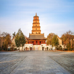 景点模块 